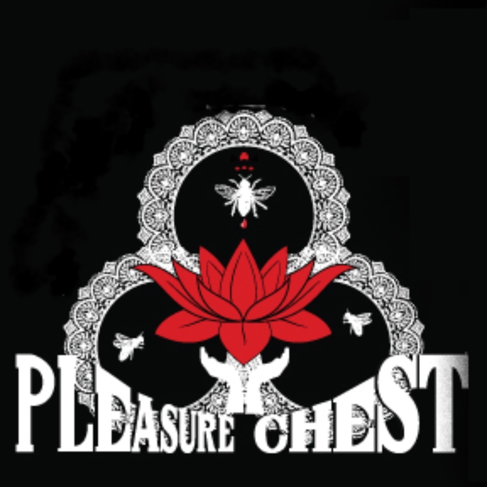 Pleasurable Treasures Pleasure Chest!